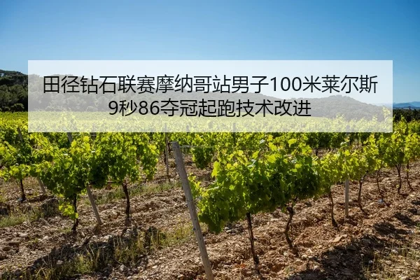 tian-jing-zuan-shi-lian-sai-mo-na-ge-zhan-nan-zi-mi-lai-er-si-miao-duo-guan-qi-pao-ji-shu-gai-jin-3-423.jpg