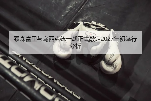 泰森富里与乌西克统一战正式敲定2027年初举行分析